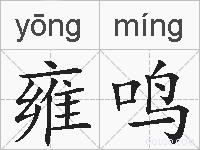雍鸣的拼音