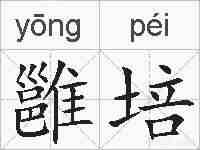 雝培的拼音