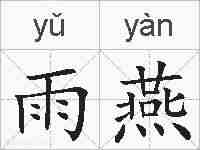 雨燕的拼音
