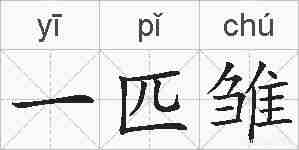 一匹雏的拼音