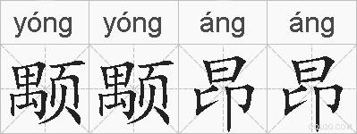 颙颙昂昂的拼音