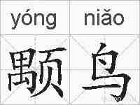 颙鸟的拼音