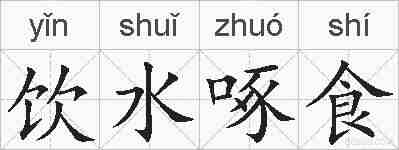 饮水啄食的拼音