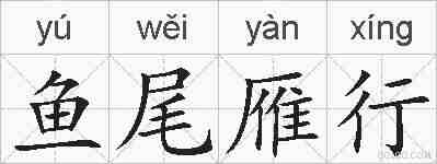鱼尾雁行的拼音
