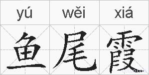鱼尾霞的拼音