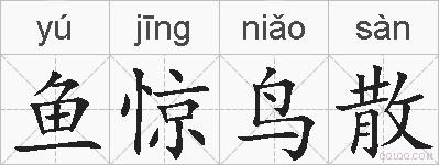 鱼惊鸟散的拼音