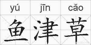 鱼津草的拼音