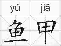 鱼甲的拼音