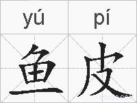 鱼皮的拼音