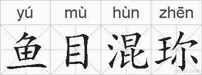 鱼目混珎的拼音