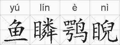 鱼瞵鹗睨的拼音