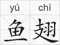鱼翅的拼音