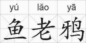 鱼老鸦的拼音
