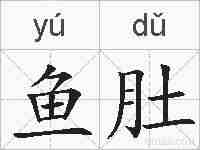 鱼肚的拼音
