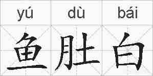 鱼肚白的拼音