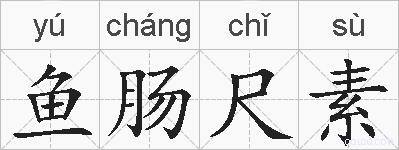 鱼肠尺素的拼音
