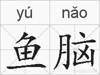 鱼脑的拼音