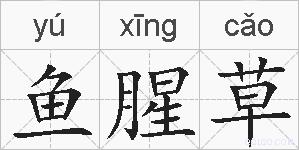 鱼腥草的拼音