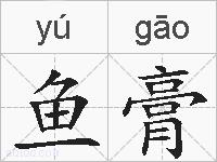 鱼膏的拼音