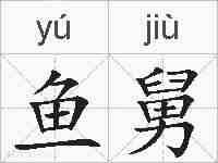 鱼舅的拼音