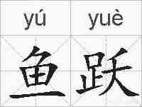 鱼跃的拼音