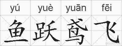 鱼跃鸢飞的拼音