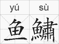 鱼鱐的拼音