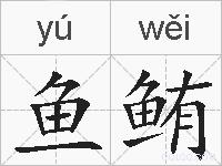 鱼鲔的拼音
