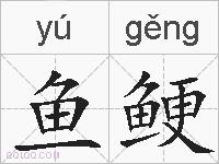 鱼鲠的拼音