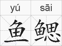 鱼鳃的拼音