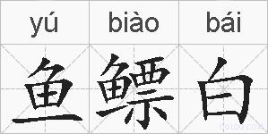 鱼鳔白的拼音