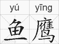 鱼鹰的拼音