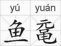 鱼鼋的拼音