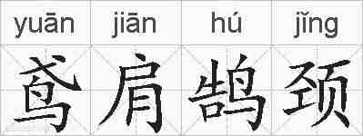 鸢肩鹄颈的拼音