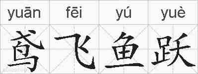 鸢飞鱼跃的拼音