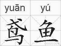 鸢鱼的拼音
