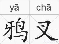 鸦叉的拼音