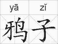 鸦子的拼音