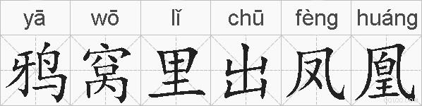 鸦窝里出凤凰的拼音