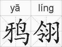鸦翎的拼音