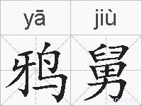 鸦舅的拼音