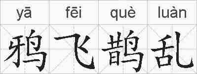 鸦飞鹊乱的拼音