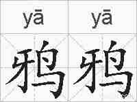 鸦鸦的拼音
