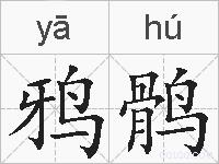 鸦鹘的拼音