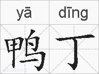 鸭丁的拼音