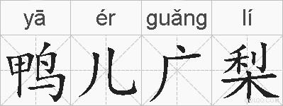鸭儿广梨的拼音
