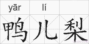 鸭儿梨的拼音