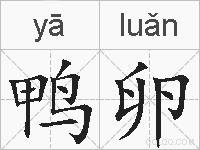 鸭卵的拼音