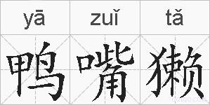 鸭嘴獭的拼音