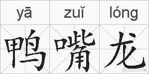 鸭嘴龙的拼音